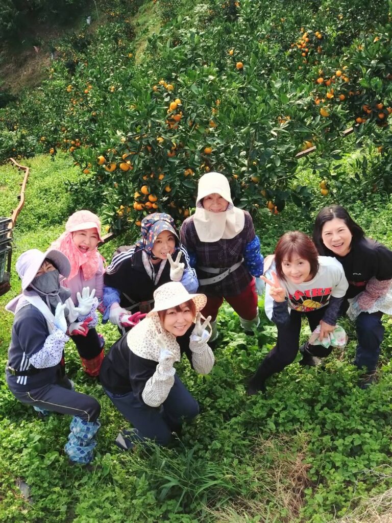 私たちが丁寧に１つ１つ収穫してお送りしています。